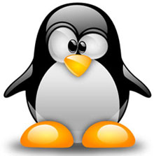 tux-linux-rudy-bandiera