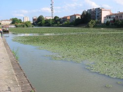 darsena 2009 006