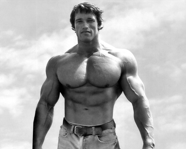 Arnold-Schwarzenegger