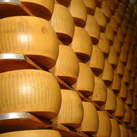 parmigiano-reggiano