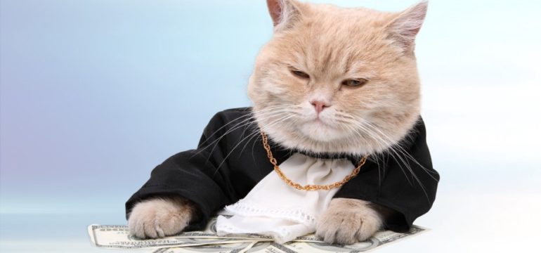 fare soldi big money business