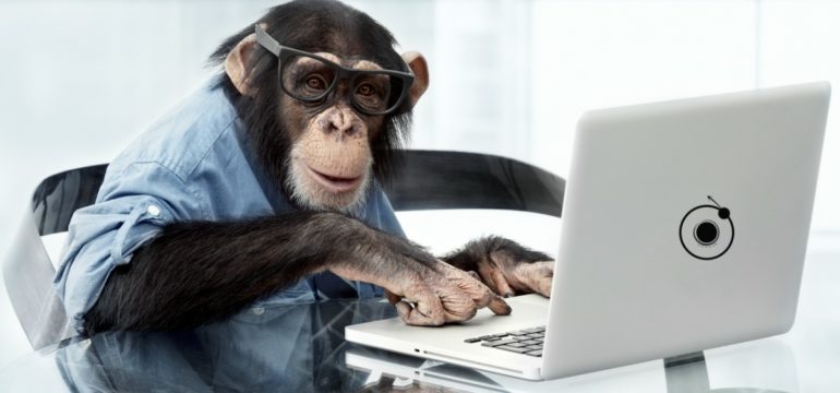 scimmi scrive blog