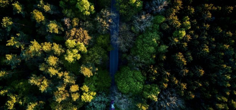 Anche il digitale inquina: il tuo sito è eco-sostenibile?